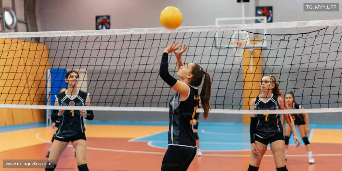 高清多类别盛宴:从捕鱼到体育全在线,娱乐升级